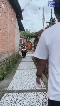 Kumpulan Video Lucu bikin ngakak sakit perut terbaru