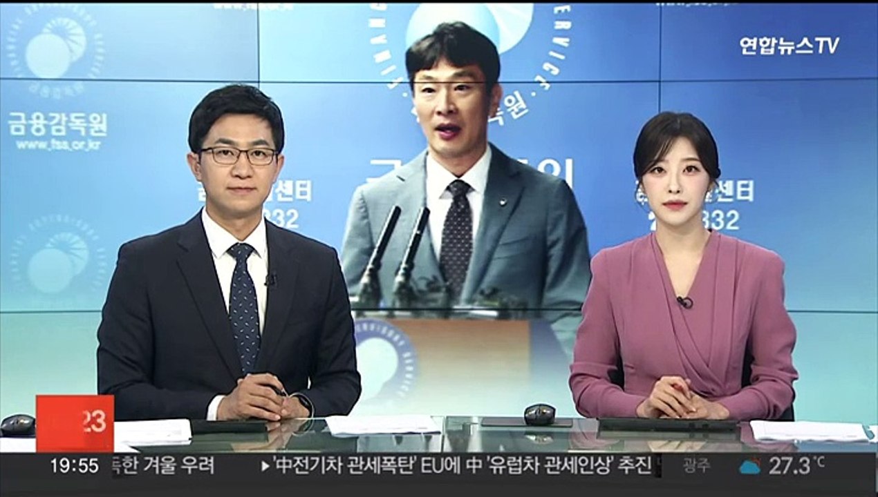 '상법 개정' 공론화…금감원장 "배임죄 폐지"