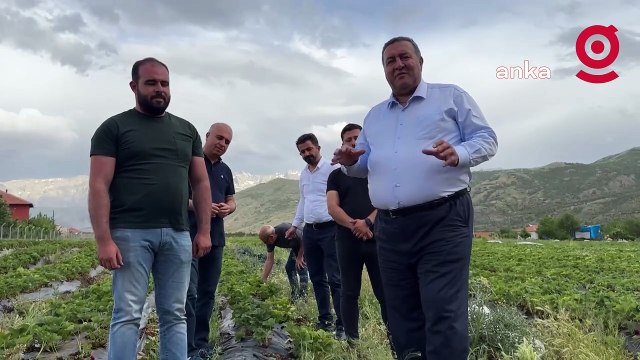 Niğdeli çiftçi: Yarım kilo çilek alıyor insanlar, onu da utanarak söylüyorlar. Yani endişeliyiz durumdan