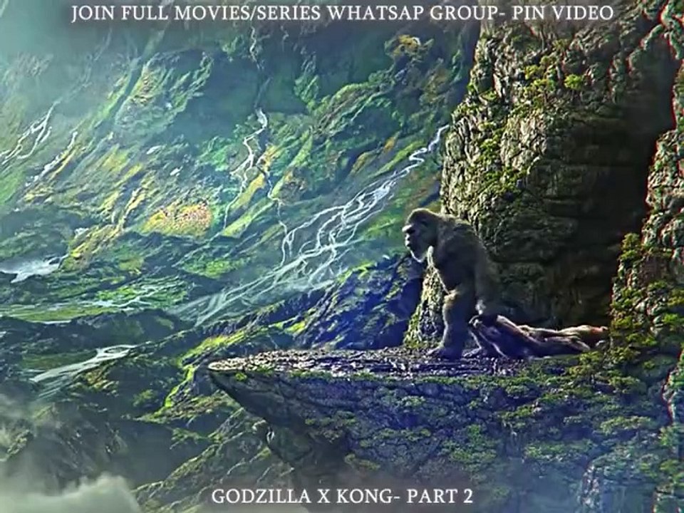 Monkey movie