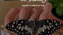 Quran