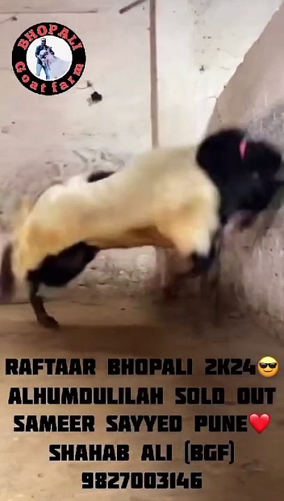 Funny video funny