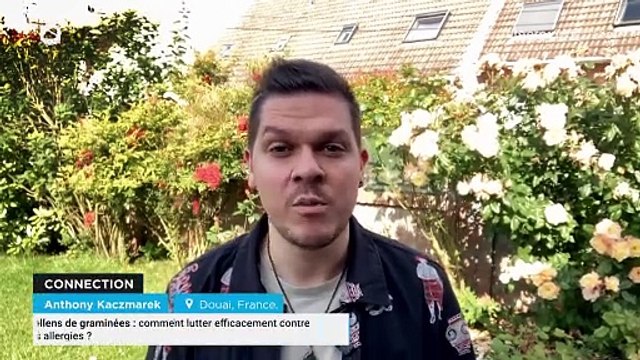 Pollens de graminées : comment lutter efficacement contre les allergies ?