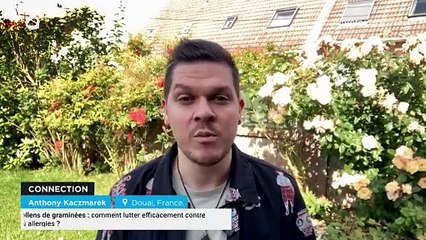 Pollens de graminées : comment lutter efficacement contre les allergies ?