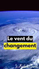 Ces cyclons destructeurs d'oiseaux !