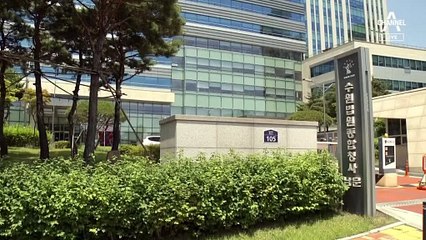 “기피제 활용” “서울로 이송”…당황한 민주