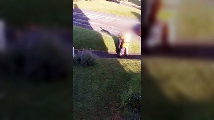 A bin man is spotted tipping food waste into a wheelie bin