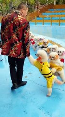 Young Man playing with cute dogs