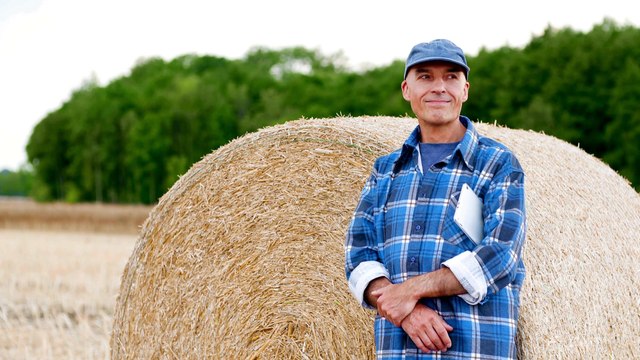 This is what lies | Poetic version of famous Moral Story The Boy who cried Wolf