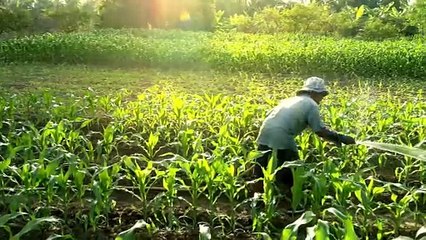 Cheating will get you nowhere | Poetic version of famous Moral Story " The Farmer and the Well "