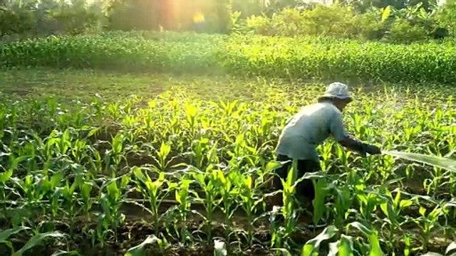 Cheating will get you nowhere | Poetic version of famous Moral Story The Farmer and the Well