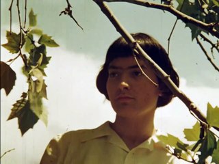 La primera mirada - Tráiler