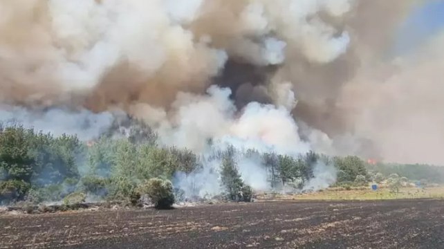Çanakkale’nin Eceabat ilçesinde ormanlık alanda yangın