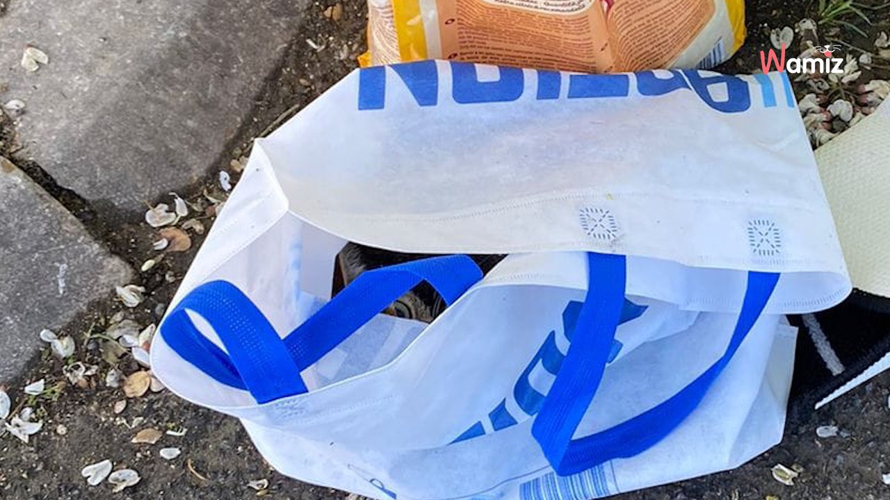 Rätselhafte Entdeckung: Plastiktüte vor Tierheim wirft Fragen auf