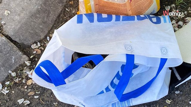 Rätselhafte Entdeckung: Plastiktüte vor Tierheim wirft Fragen auf