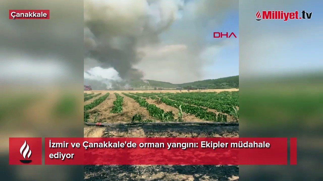 İzmir ve Çanakkale'de orman yangını: Ekipler müdahale ediyor
