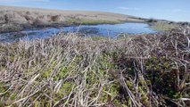 Les écrins verts de la Loire, eps 3 : Les tourbières des Hautes Chaumes