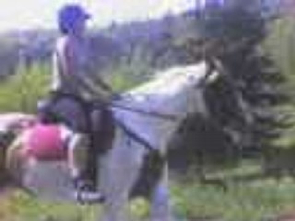 Apache & Orlane
