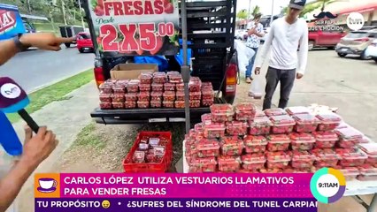 Una deliciosa venta de fresas