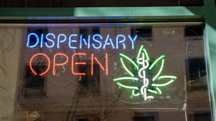 La Venta de Marihuana Medicinal Reduce La Preinscripción De Opioides