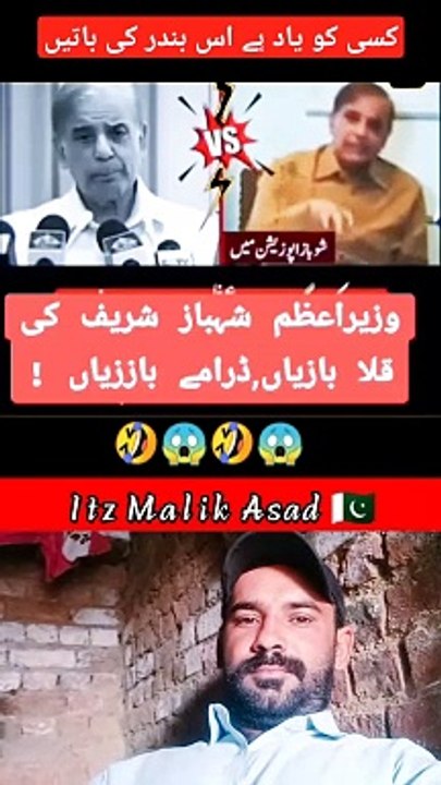 یاد ہے اس بندر  کی باتیں 
