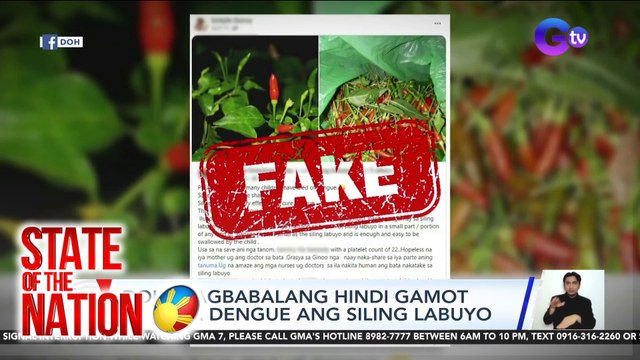 DOH, nagbabalang hindi gamot kontra dengue ang siling labuyo | SONA