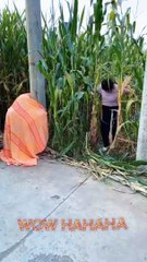 Funny Video | Funn Jock's| | Comedy & Entertainment