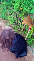 Menangkap siluman monyet