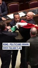 Rome: Politicians brawl over Italian flag