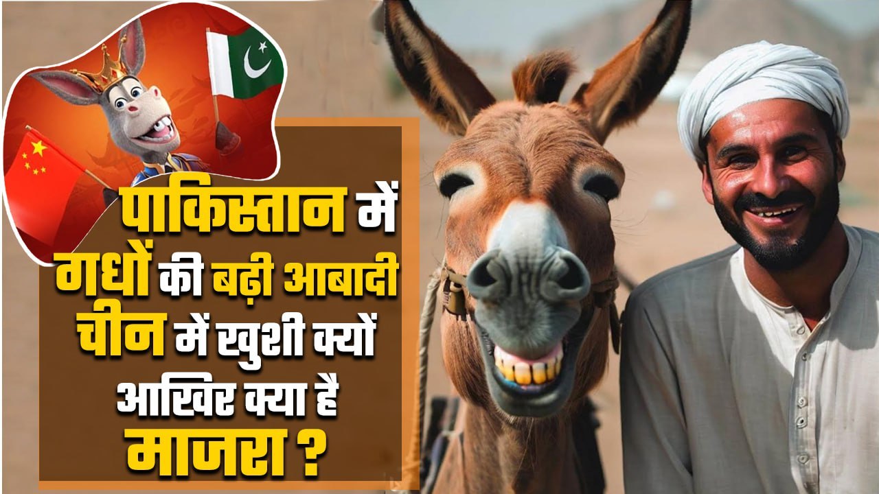 Pakistan Donkey Population: पाकिस्तान में बढ़ी गधों की आबादी, China खुश क्यों | PAK | वनइंडिया प्लस