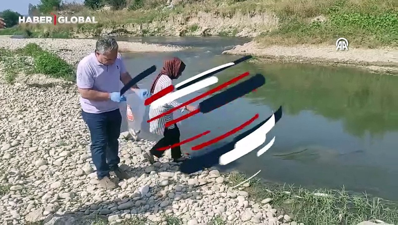 Osmaniye'de çayda balık ölümleri üzerine inceleme başlatıldı