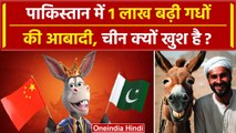 Pakistan में Donkey Population के बढ़ने पर China क्यों खुश है ? | PAK Donkey | वनइंडिया प्लस #Shorts