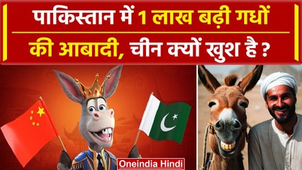 Pakistan में Donkey Population के बढ़ने पर China क्यों खुश है ? | PAK Donkey | वनइंडिया प्लस #Shorts