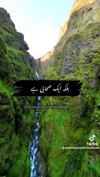 Words of Wisdom: Daily Inspirational and Motivational Quotes