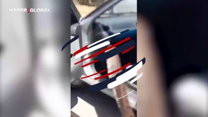 Arabayı gasp etmeye çalışan anakondanın hazin sonu: Direnmesi fayda etmedi