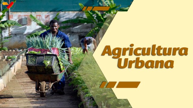 Café en la Mañana | Gobierno Bolivariano garantiza seguridad agroalimentaria