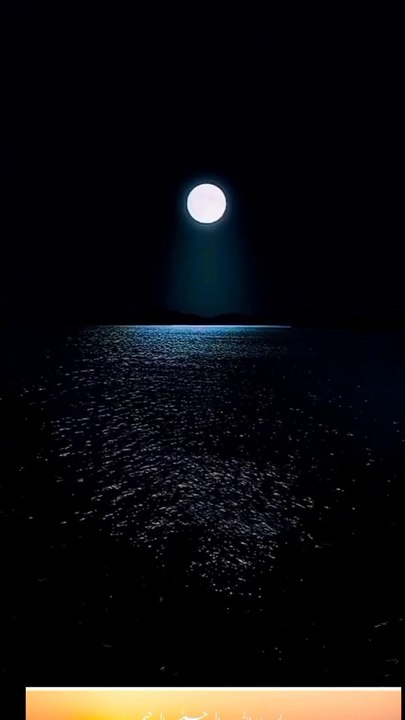 lv_0_20240613224316