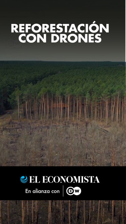 Reforestación con drones