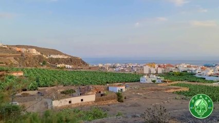 Ruta: Circular Bañaderos – Barranco de Los Palmitos – Presa del Pintor.