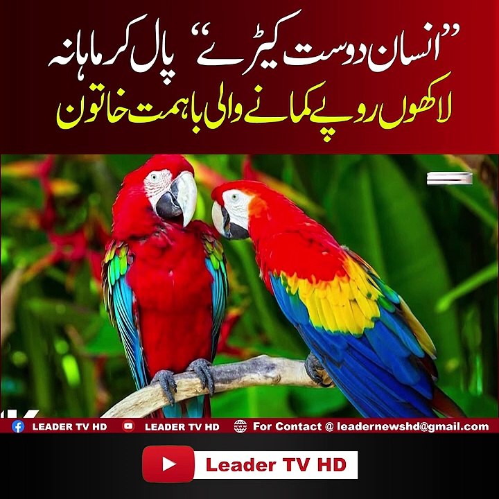 Insaan Dost Kiray Paal Kr Mahana Lakhoon Rupay Kamanay Lagi ,,?