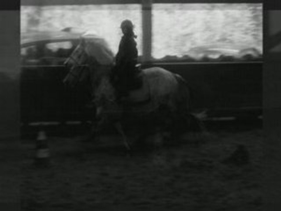 Joyeux Anniversaire Ma cherie Choue (ll)