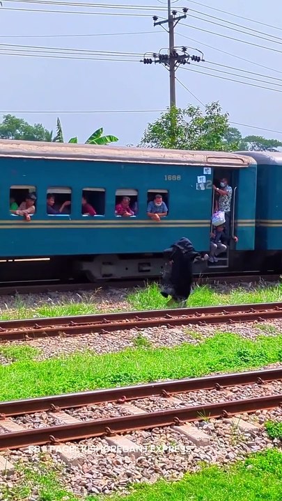 Train