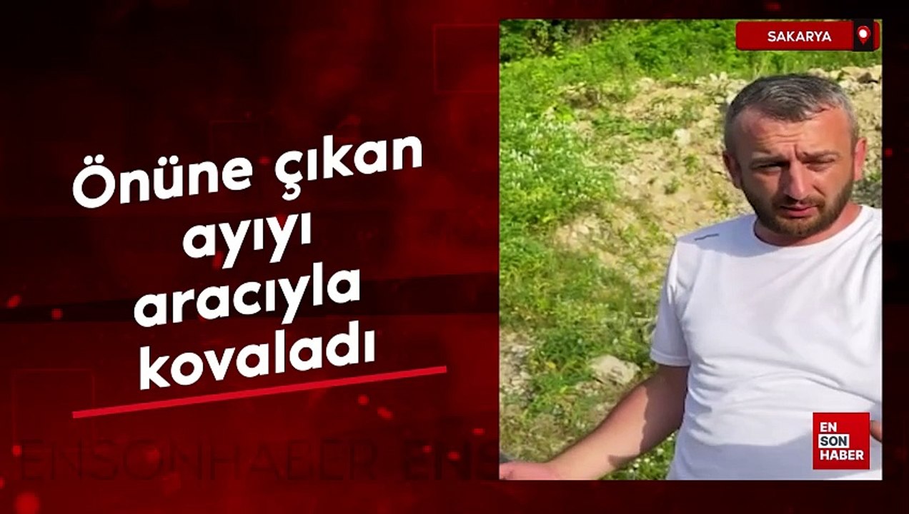 Sakarya'da önüne çıkan ayıyı aracıyla kovalayan çiftçi kamuoyundan özür diledi