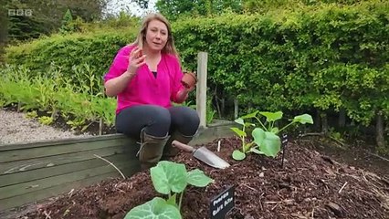 The Beechgrove Garden 2024 episode 11