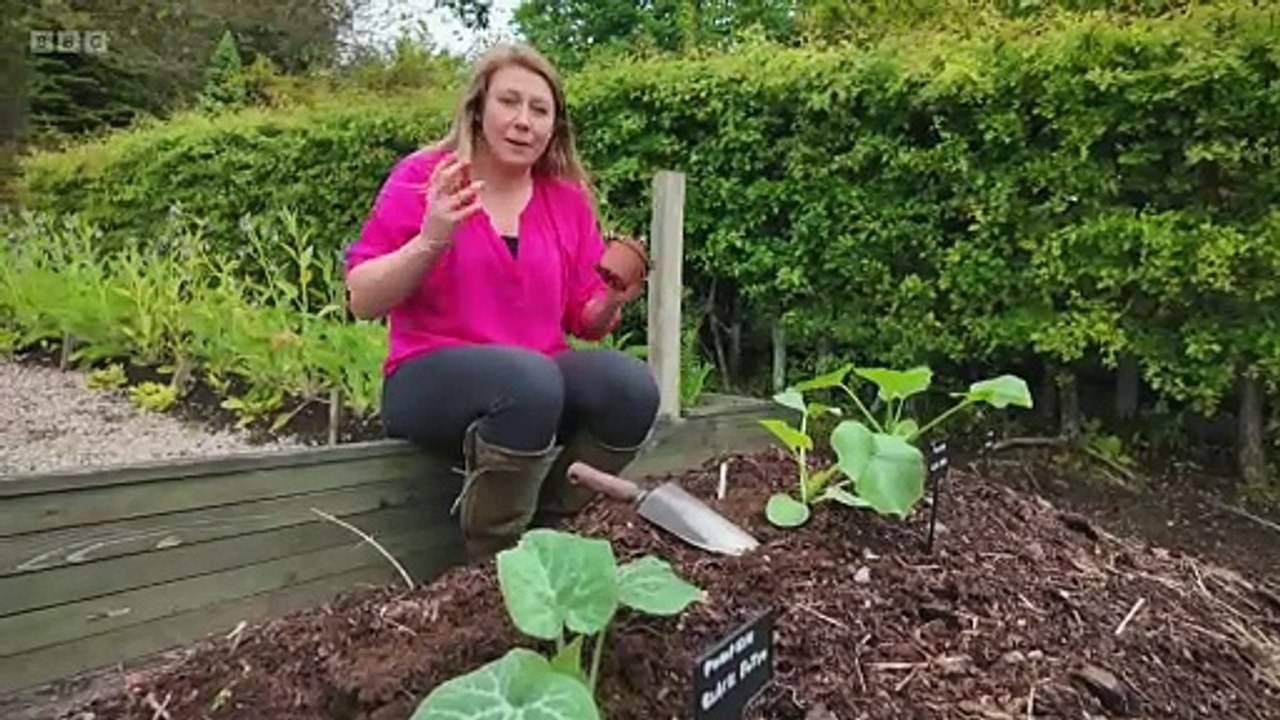 The Beechgrove Garden 2024 episode 11