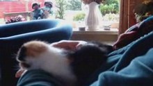 Miep en de poesjes, 13-4-08