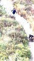 Girl Falls Hard as She Runs Down Steep Hiking Trail