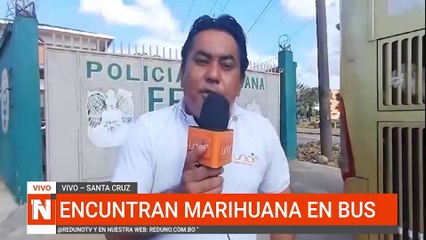 corte buss con Mariguana
