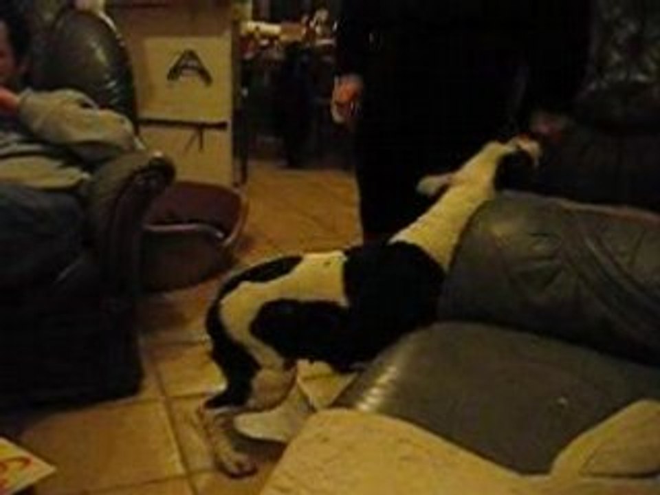 pitt et push up