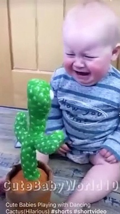 Cute Babies Playing with Dancing Cactus (Hilarious)Cute Baby Funny Videos(360P)